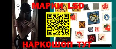 тгк Кингисепп