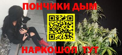 тгк Кингисепп