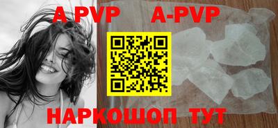 тгк Кингисепп
