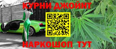 тгк Кингисепп