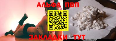 тгк Кингисепп