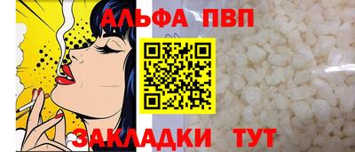 тгк Кингисепп