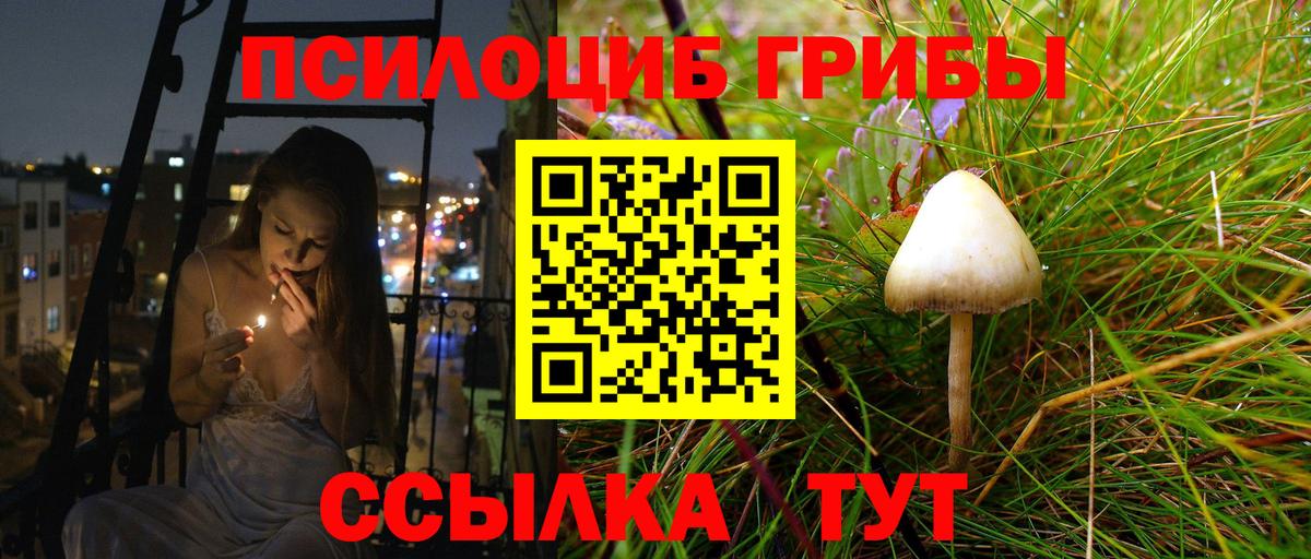 Киреевск  Галлюциногенные грибы Psilocybe  Псилоцибиновые грибы прущие грибы  Вход с VPN 